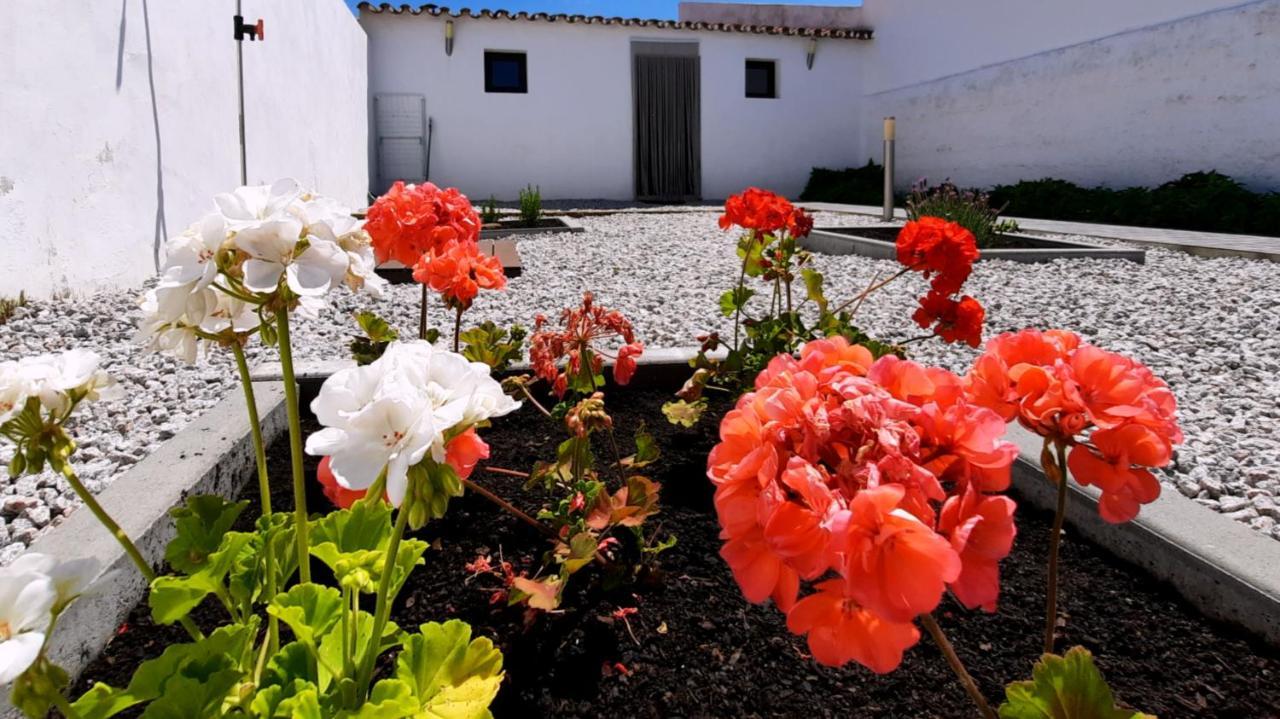 Casa Dos Vizinhos - Casas De Taipa Villa São Pedro do Corval Dış mekan fotoğraf